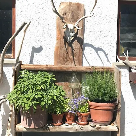 Apartment Mit Alpenblick Antdorf