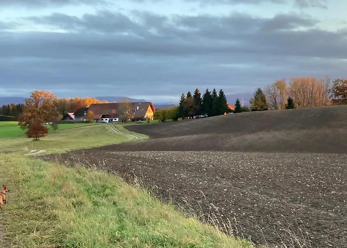 Mit Alpenblick Apartament
